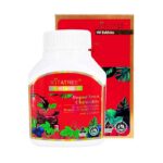 Super Iron Chewable giúp bổ máu 60 viên