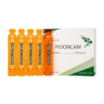 Pidoncam 1200mg/5ml Hà Nam điều trị triệu chứng chóng mặt